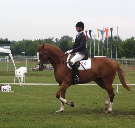 Milica Mogin & Aland Dagi