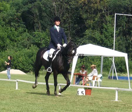 Mladen Zivkovic & Stendal01