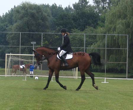 Nina Vukoje & Lucky Lady01