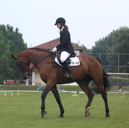 Nina Vukoje & Lucky Lady02