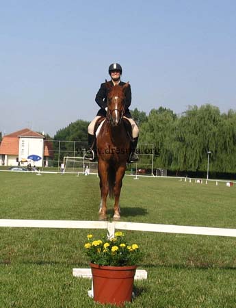 Simonida Simic & Hogar01