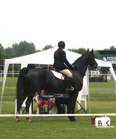 Simonida Simic & Kookai04