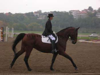 DSCN1538