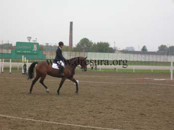 DSCN1706