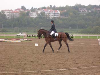 DSCN1708