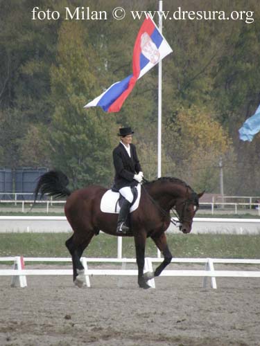 PB010437