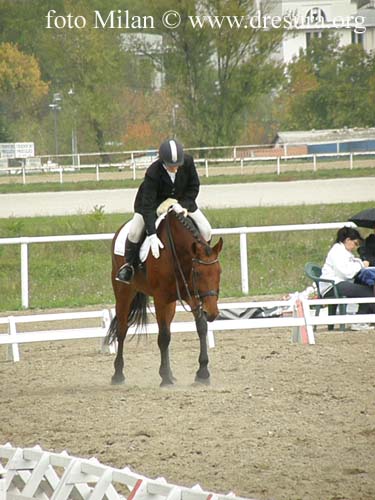 PB010502